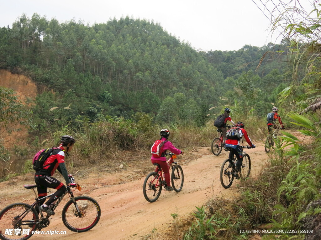 山地骑行者穿梭于林间小道