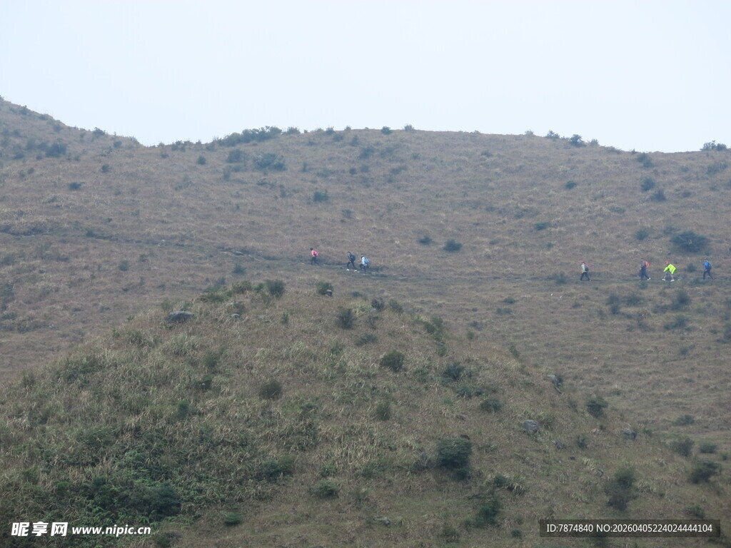 山丘景色 植被覆盖的地貌