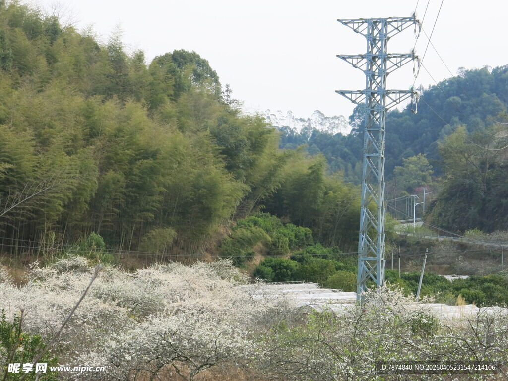 山间输电塔与繁茂植被