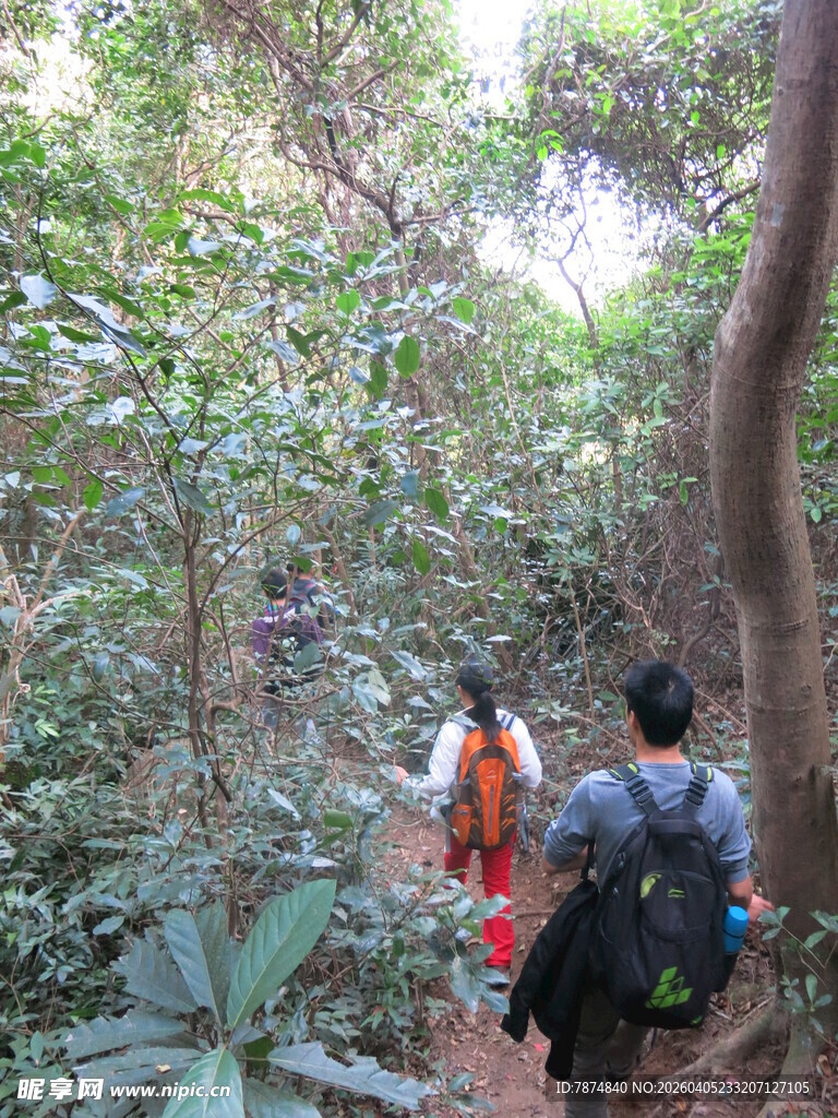 两人林间徒步之旅