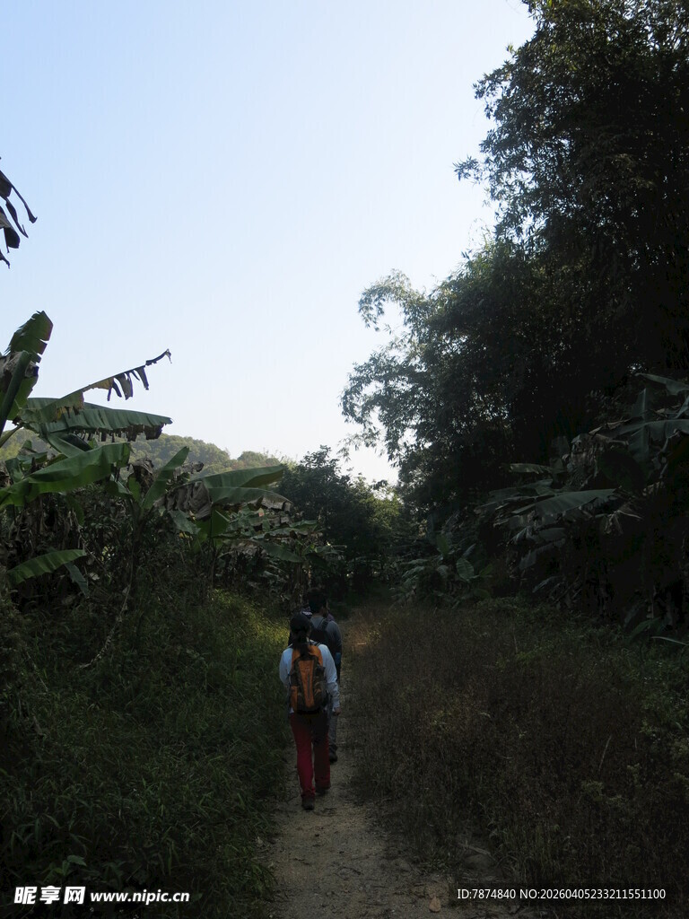 徒步者穿行于林间小道