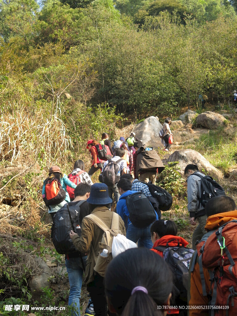 户外徒步队伍穿行山林间