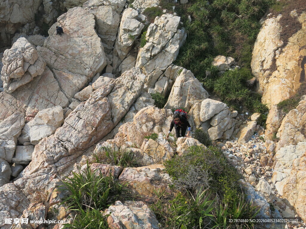 嶙峋山石间的绿意点缀