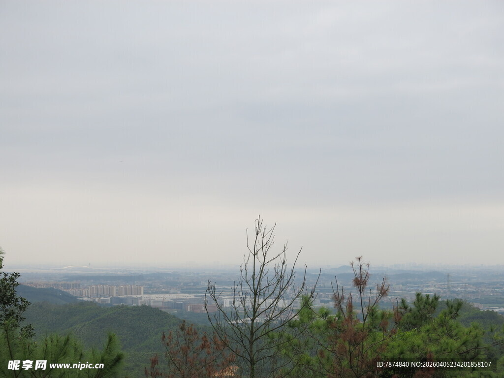 山林远眺之开阔景致