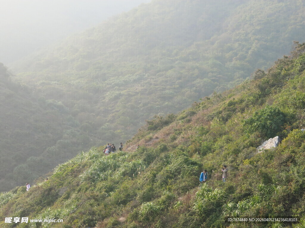 山间羊群漫步绿意山坡