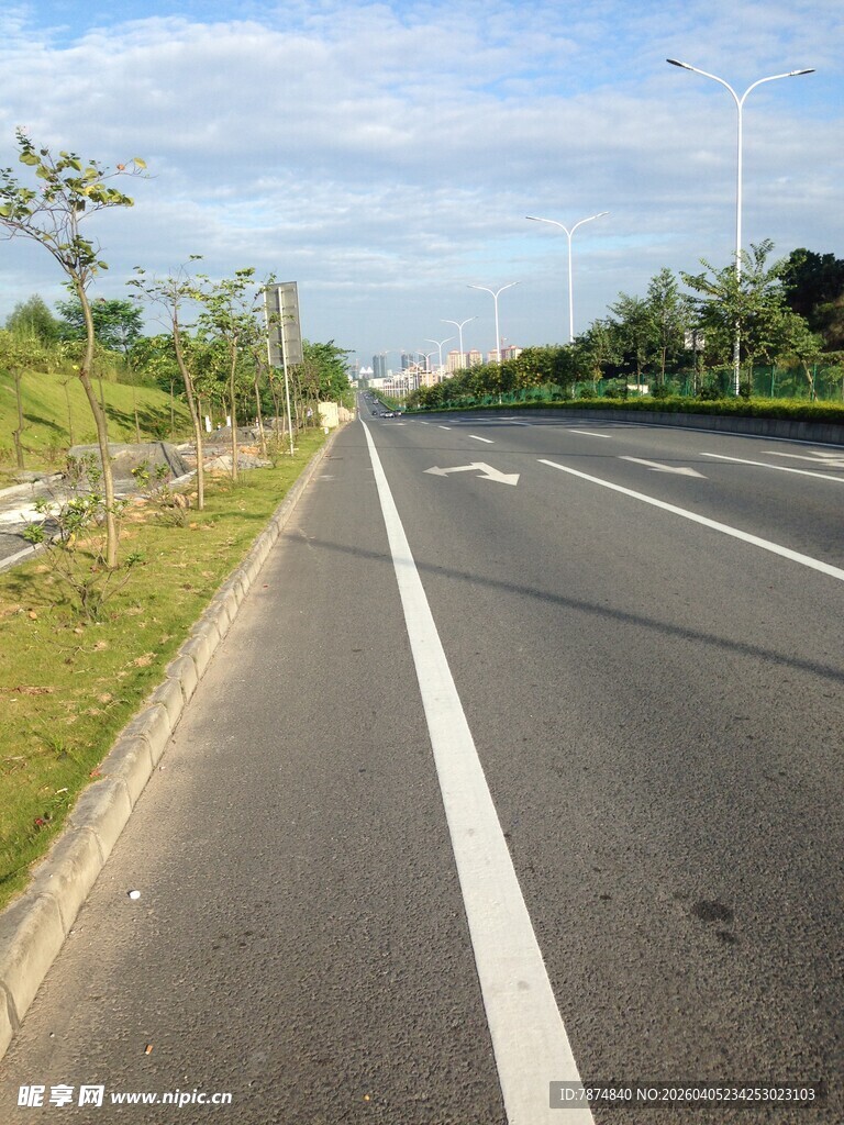宽阔公路旁绿意相伴