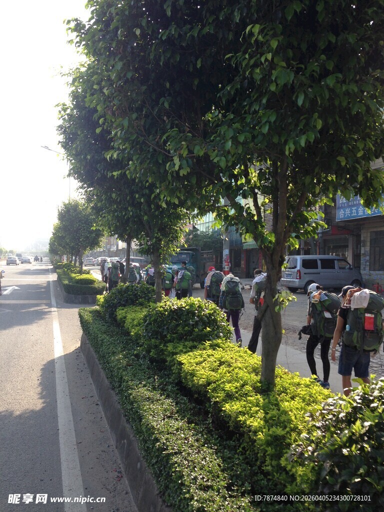 街道旁绿树成荫的休闲场景