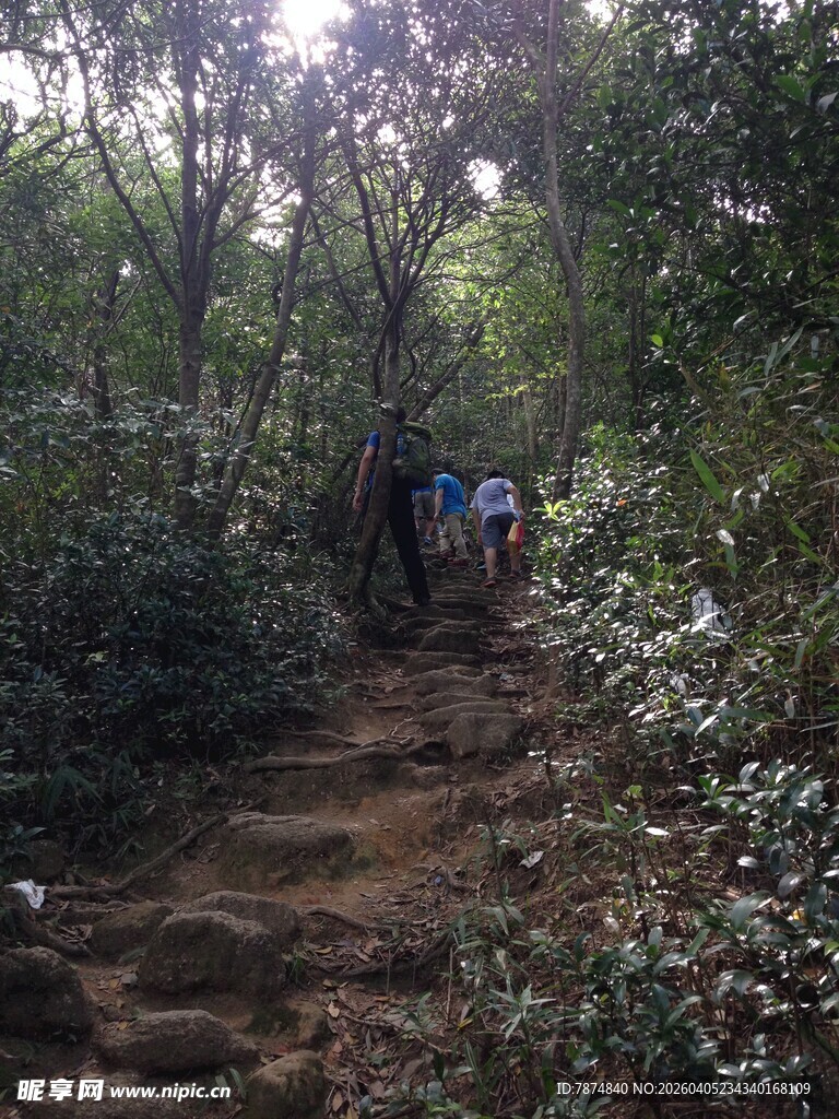 山林间的徒步队伍