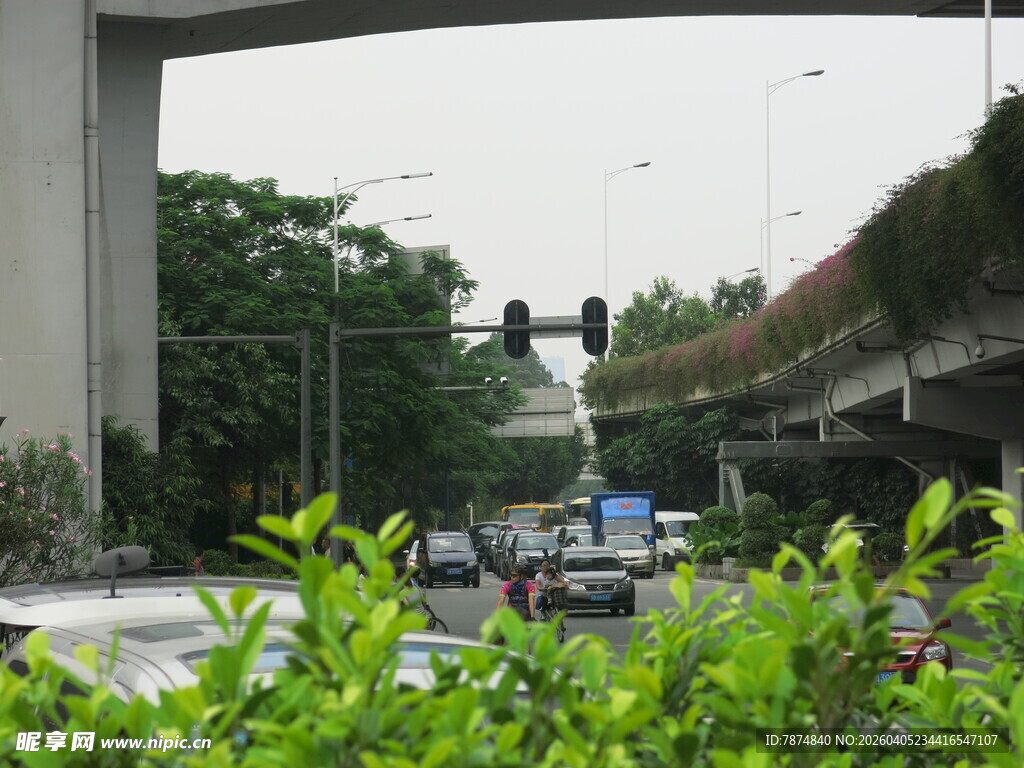 城市高架桥旁的绿植与交通