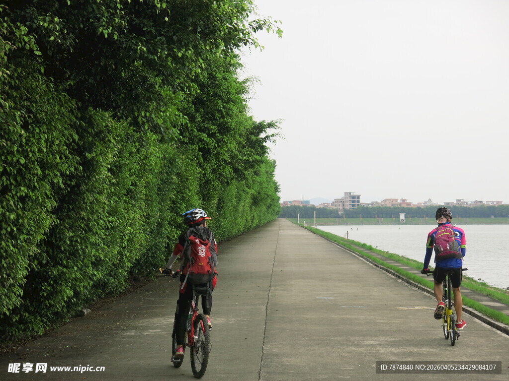 骑行者沿绿荫小道惬意骑行