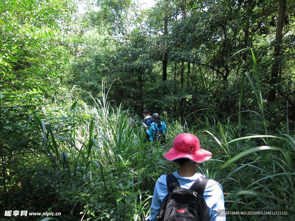 森林徒步中的背包旅行者