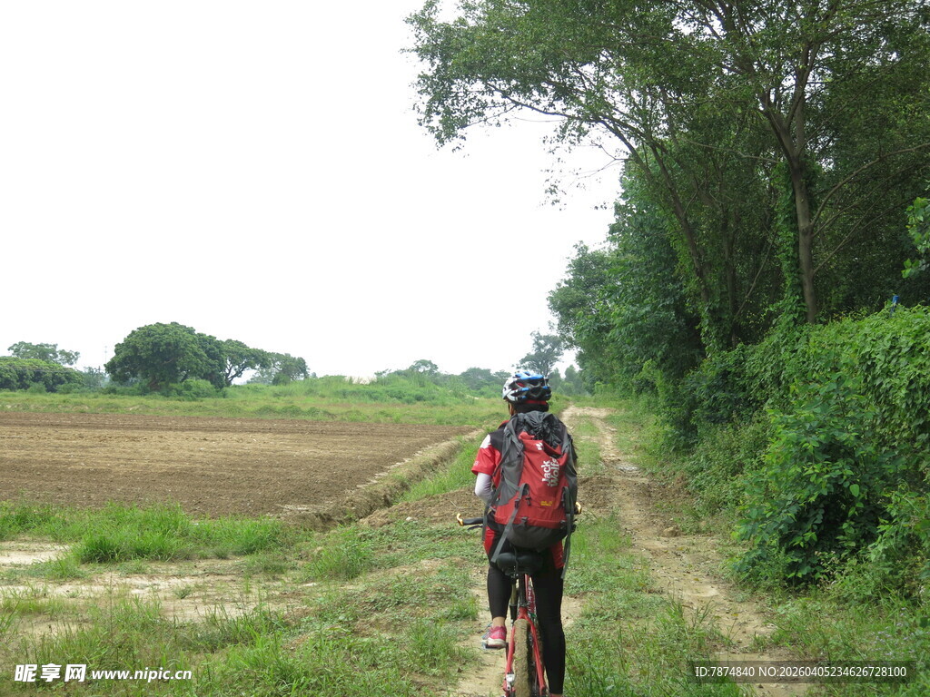 骑行者穿行于田野林间