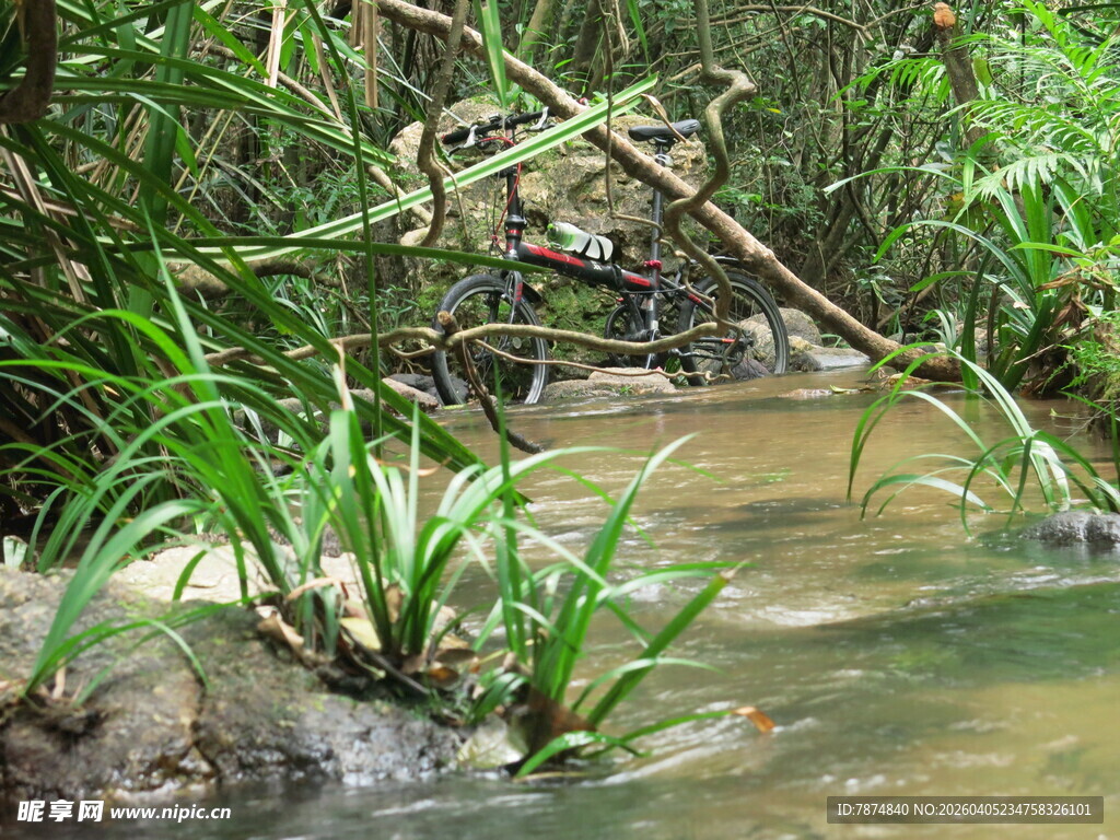 溪边繁茂绿植景观