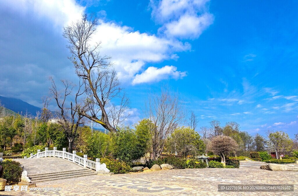 蓝天白云下的河畔风景