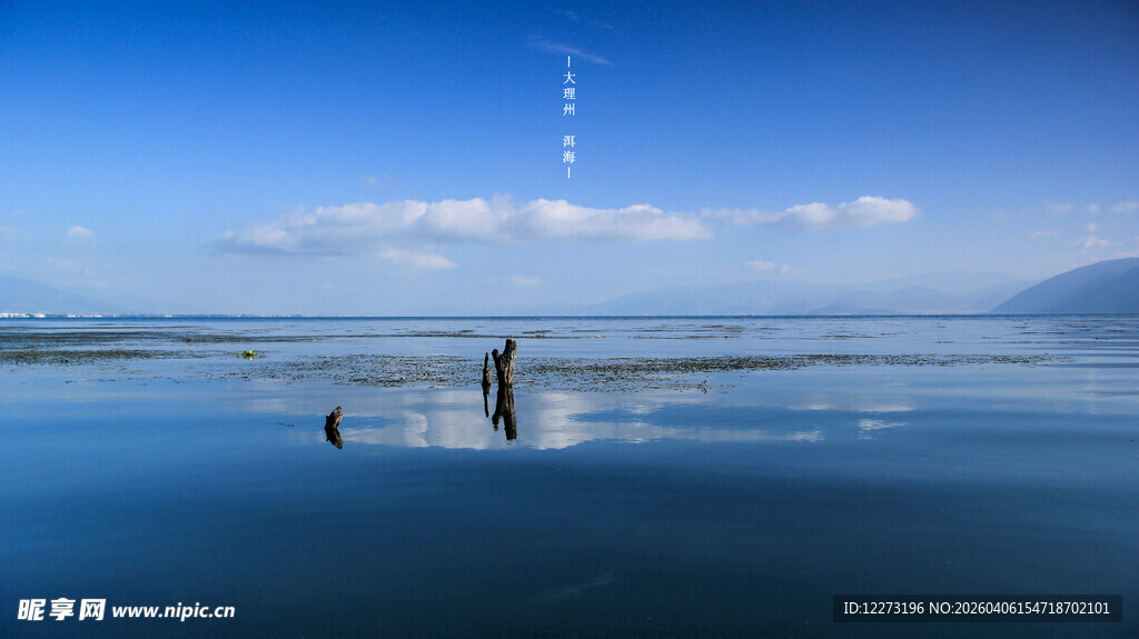 湖畔静谧风光 