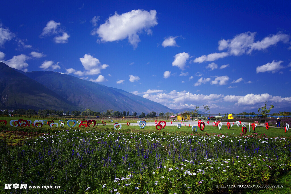 蓝天绿野间的多彩花卉景观
