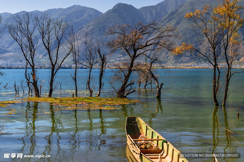 孤舟静泊于山水枯树间