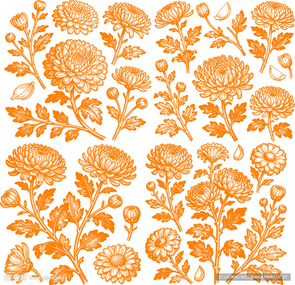 橙色菊花花卉图案背景纹理