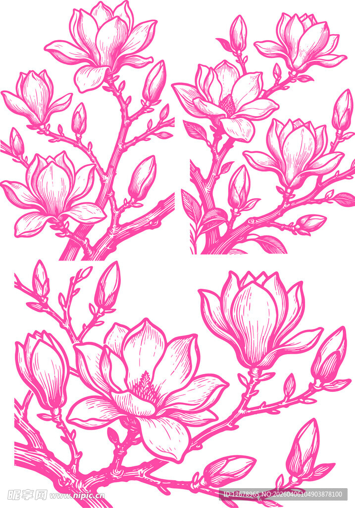 粉色玉兰花枝图案设计