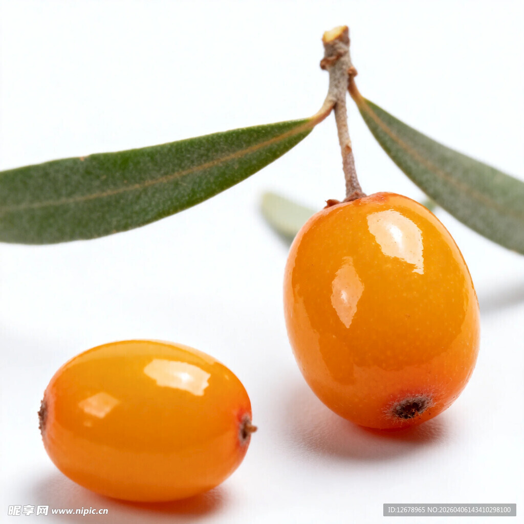 两颗饱满沙棘果