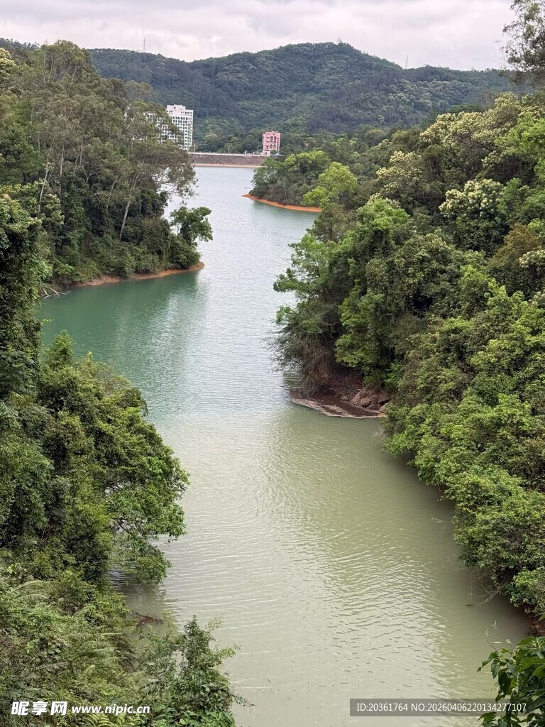 青山环抱中的碧绿河流