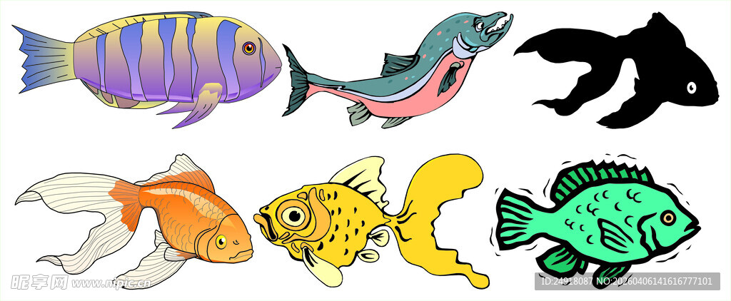 多彩观赏鱼集合