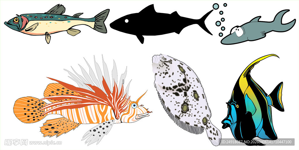 多样海洋鱼类集合