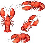 矢量龙虾图片插画