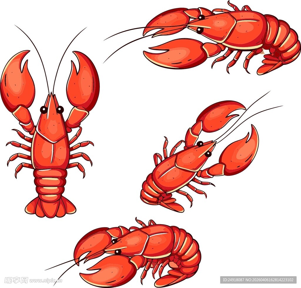 矢量龙虾图片插画