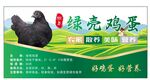 鸡蛋标签