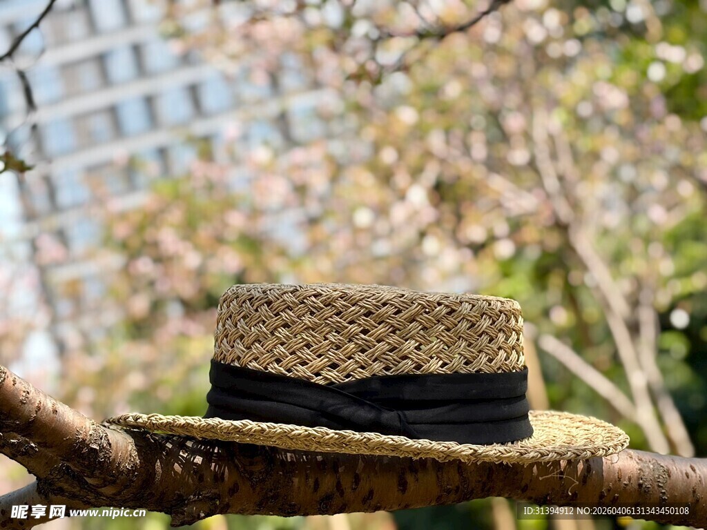 树枝上的时尚草帽