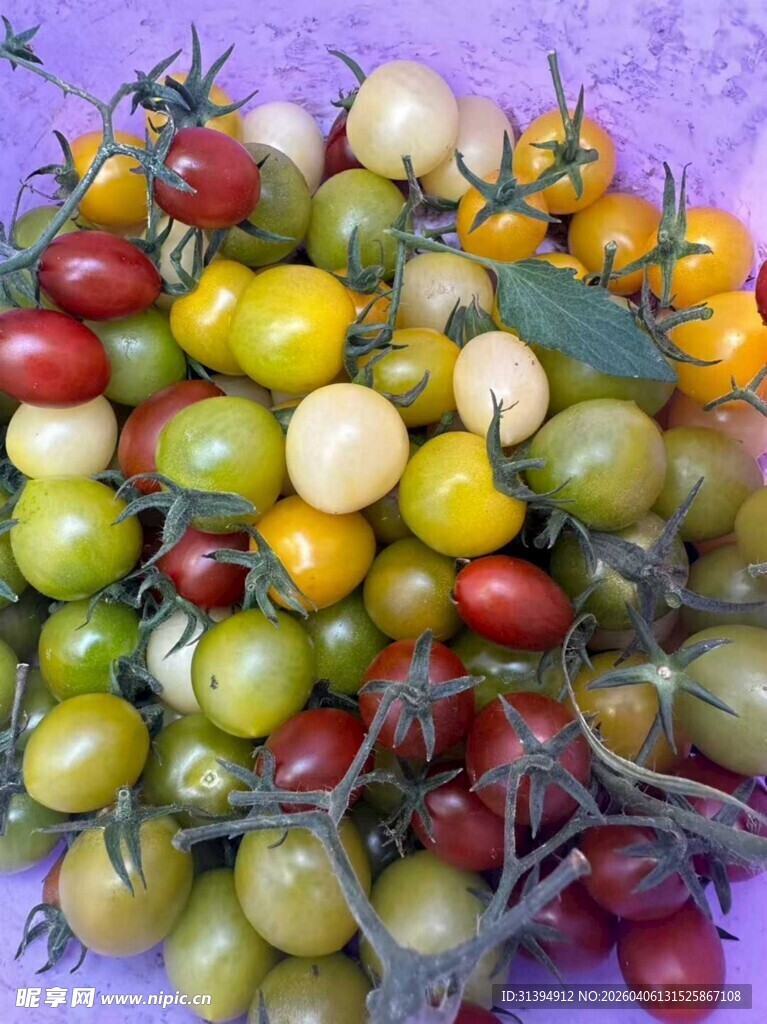 多彩小番茄堆叠展示