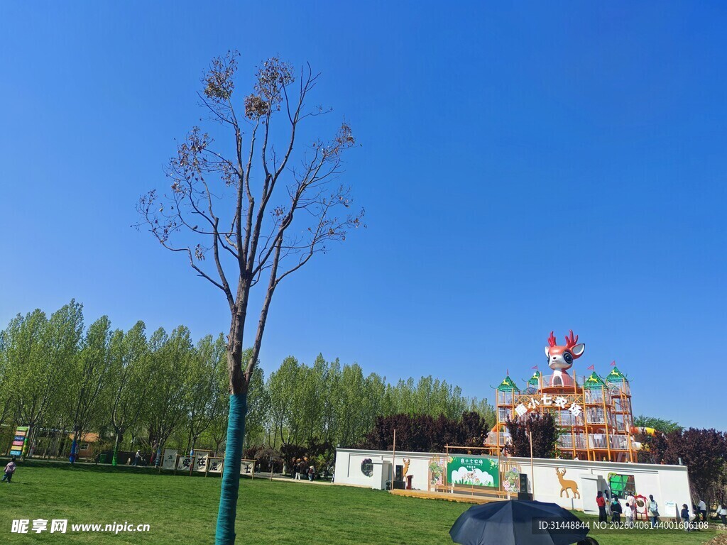 公园中的游乐设施与绿树