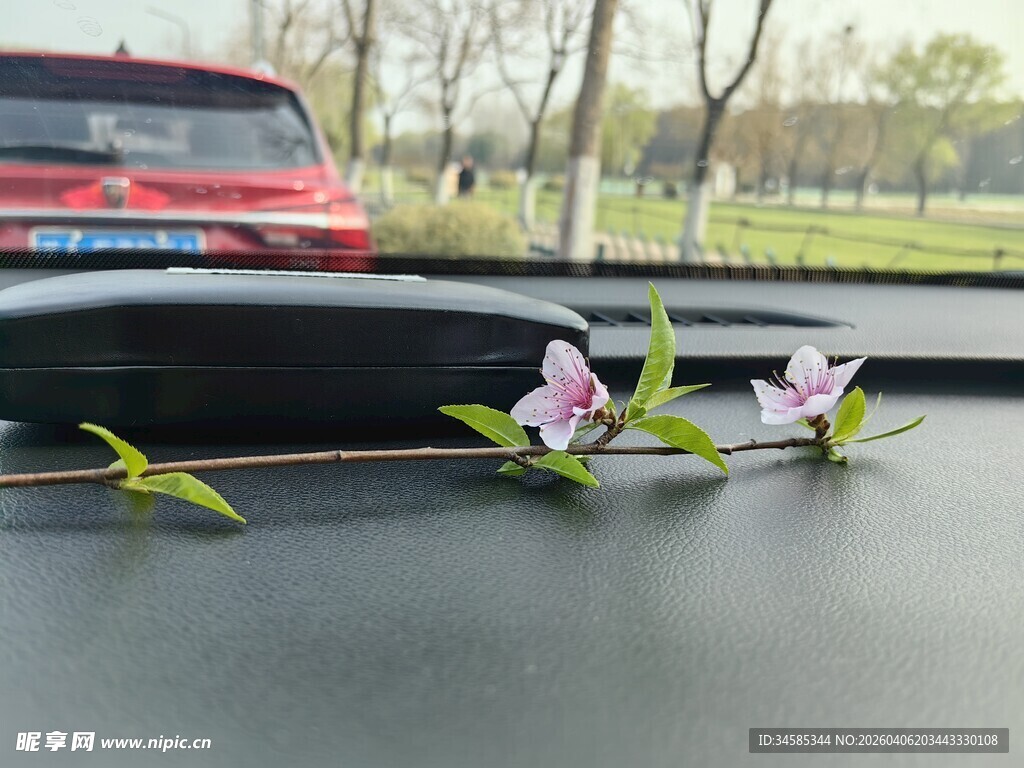 车内清新小花装饰摆件