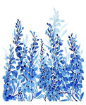 蓝色水彩风薰衣草花卉图