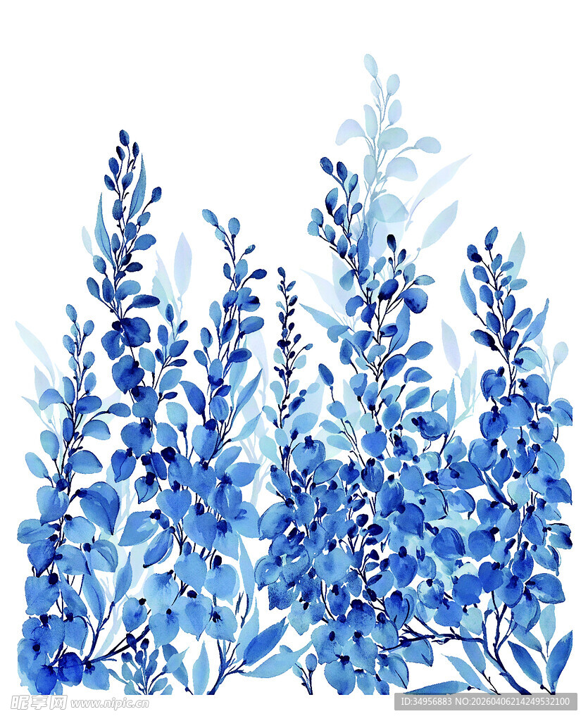 蓝色水彩风薰衣草花卉图