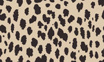 豹纹图案纹理背景