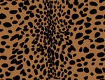 豹纹图案纹理背景