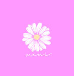 粉色背景上的简约雏菊图案