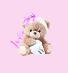 粉色系小熊玩偶带礼品盒