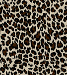 豹纹图案纹理