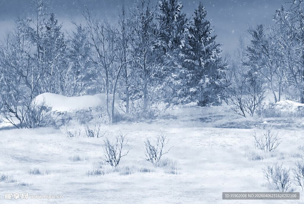 冬日雪景中的静谧森林