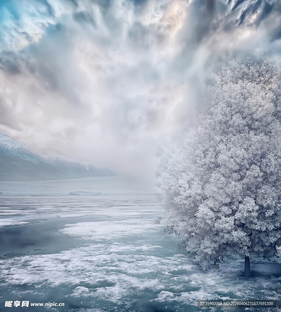 冬日雪景中的孤树