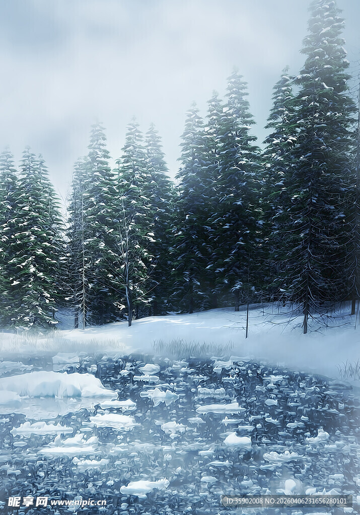 冬日雪景中的静谧森林