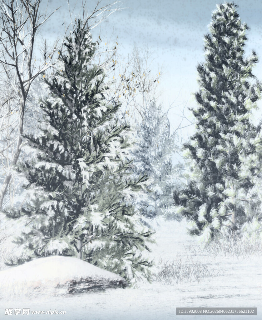 冬日雪景中的挺拔松树