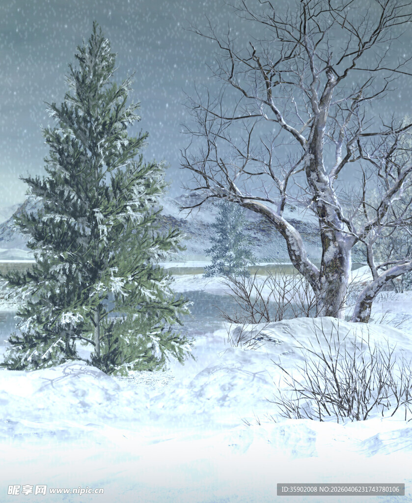 冬日雪景中的挺拔松树