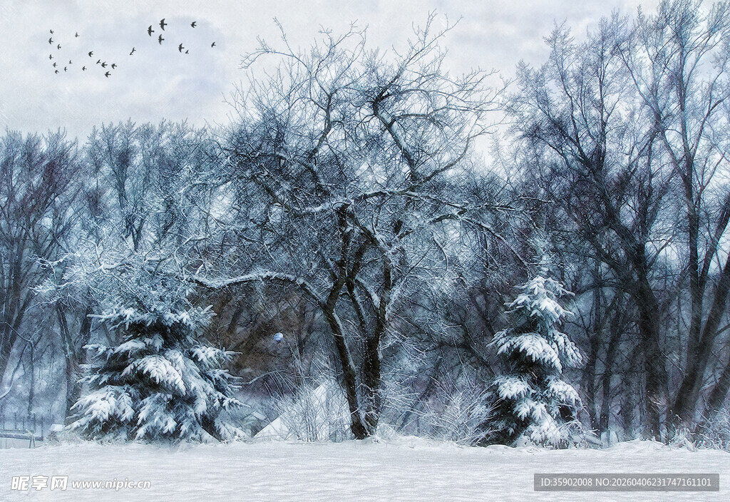 冬日雪景中的静谧树林