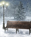 雪天中静谧的长椅路灯景