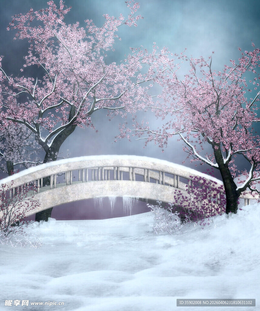 雪中日式樱花桥风景