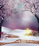 雪中日式樱花夜景小径